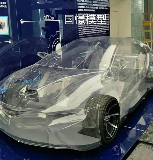 加查县透明车模型