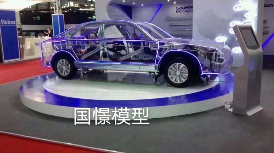 加查县透明车模型